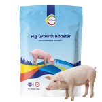 Pig Premix Feed Factory - 4% Fattening Vitamin Supplement for Swine