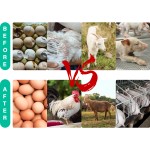 维生素AD3E液生产商-高级动物口服液