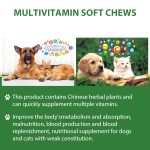 宠物复合维生素粉供应商-可定制犬猫皮肤被毛营养补充剂