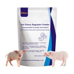 猪增重预混料供应商-复合维生素开胃饲料