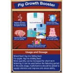 Pig Growth Supplement Manufacturer - Fast Weight Gain Fattening Booster