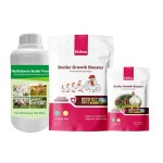 肉鸡增重促进剂生产商-蛋白粉饲料添加剂