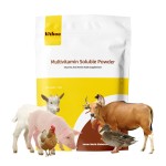 Poultry Growth Booster Manufacturer - Vitamin Chick Enhancer Premix