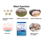 Broiler Feed Supplement Manufacturer - Private Label Milk Protein Booster