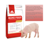 Swine Feed Powder Supplier - Piglet Grower Concentrate Formulation