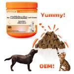 Pet Joint Supplement Tablet Manufacturer - OEM Vitamin & Probiotic Chews
