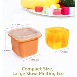 Ice Cube Trays Manufacturer - Individual Easy Remove with Lids