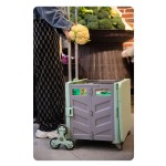 Folding Shopping Cart Manufacturer - Portable Hand Trailer with Lever