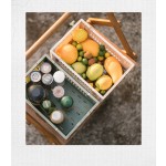 Storage Basket Manufacturer - 6L 17L Plastic Picnic Container