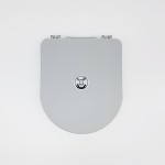 Camping Toilet Supplier - Folding Portable Travel Emergency Seat