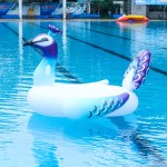 泳池浮具玩具厂家-充气游泳圈彩色