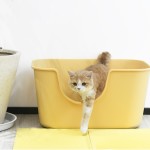 Pet Toilet Supplier - PP Sand Cat Litter Box Tray