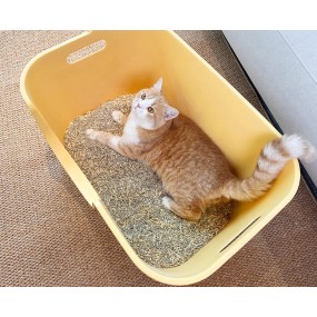 猫砂盆厂家-大号塑料盆猫咪厕所