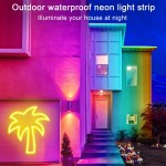 LED Neon Lights Factory - 16.4FT IP65 Waterproof RGB Strip