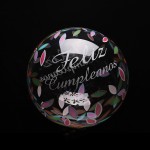 Bobo Balloon Supplier - 20 Inch Transparent Printing Helium