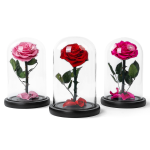 Glass Dome Ornament Factory - Prince High-End Floral Gift Box