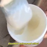 Waterproof Coating Manufacturer - Cementitious for Concrete Roof