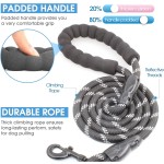 Dog Bike Leash Manufacturer - Waterproof Tactical Reflective Nylon