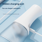 Oral Irrigator Factory - Electric Portable Plastic Dental Flosser