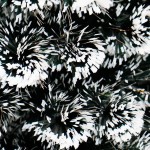 圣诞树供应商-300厘米深绿色光纤树