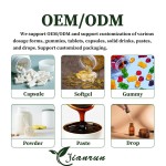 Creatine Monohydrate Gummies Manufacturer - OEM Custom Vegan Non-GMO