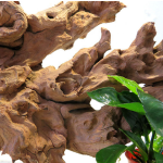 Aquarium Driftwood Supplier - Natural Coral Branches Reptile Ornament