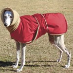 狗狗外套厂家-超暖加厚夹克大狗专用