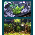 水族装饰厂家-山景石树岩洞