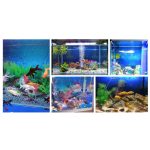 水族背景厂家-双面绘画背景