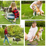 宠物项圈牵引绳厂家-多渐变色彩可定制印花