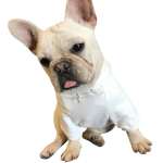 宠物亲子装厂家-棉质匹配主人衬衫