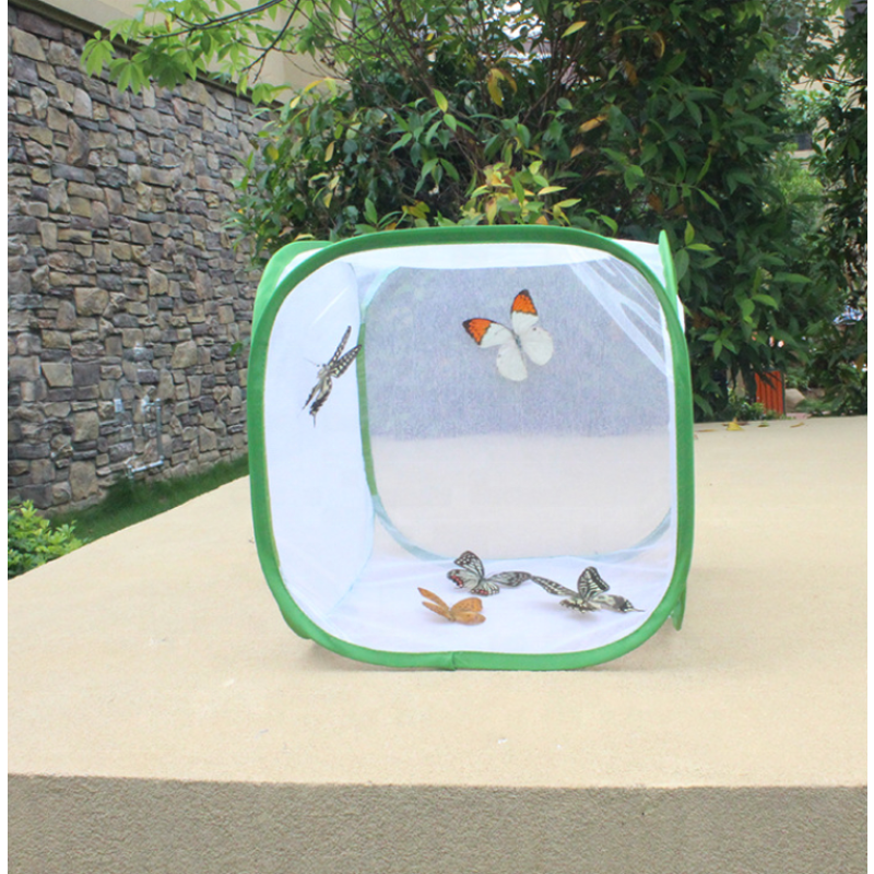 Butterfly Net House Supplier - Green Collapsible Zipper Closure