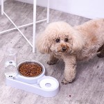 自动宠物喂食器厂家-15度倾斜360度旋转双碗