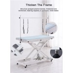 Dog Grooming Table Factory - Height Adjustable Electric Lifting
