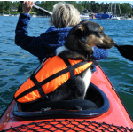 狗狗救生衣厂家-游泳安全浮力泳衣