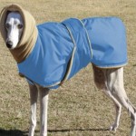 狗狗外套厂家-超暖加厚夹克大狗专用