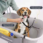 Collapsible Pet Bathtub Manufacturer - Adjustable Height Shower Station