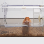 亚克力仓鼠笼厂家-透明趣味笼仓鼠专用