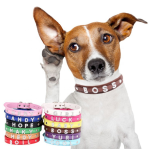 狗狗项圈厂家-DIY水钻字母个性化