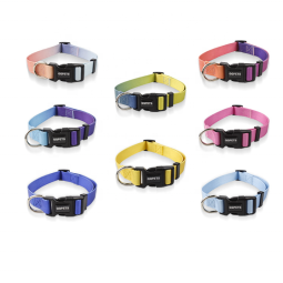 Pet Collar and Leash Supplier - Multi Gradient Color Custom Printed