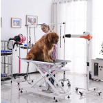 Pet Grooming Table Supplier - Electric Lifting with Arm