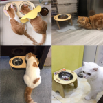 宠物碗厂家-加高陶瓷不锈钢木架