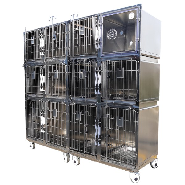 Veterinary Cage Factory - Twelve Compartments Hospital Quality