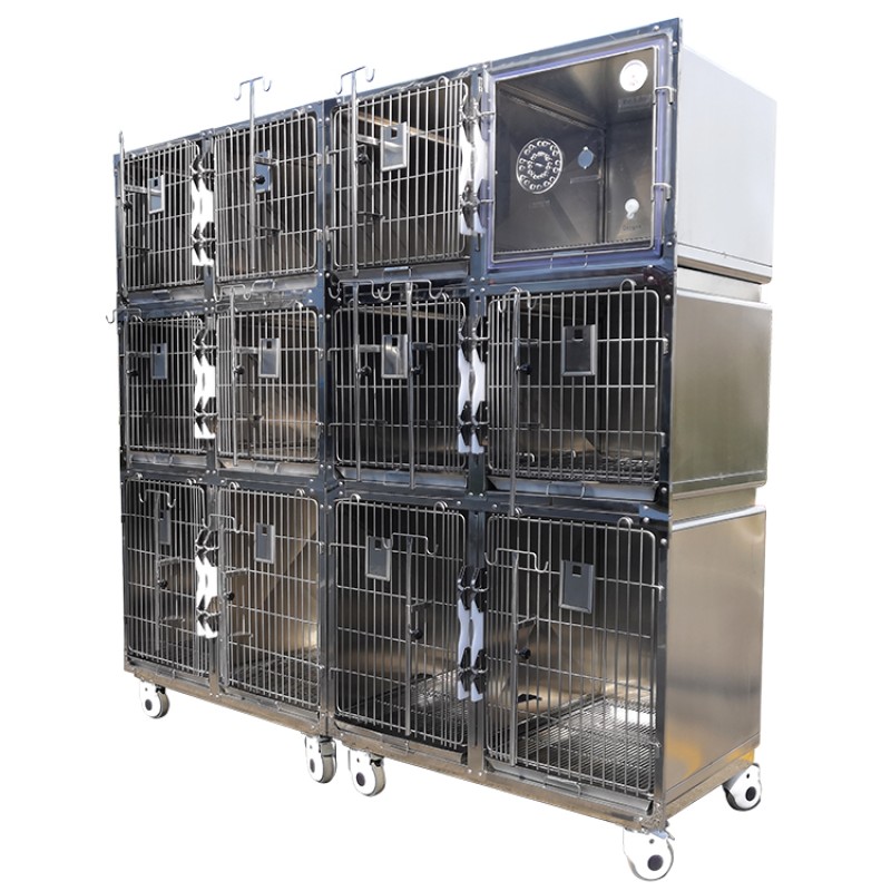 Veterinary Cage Factory - Twelve Compartments Hospital Quality
