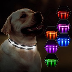Pet Safety Collar Manufacturer - Waterproof Light up Flashing