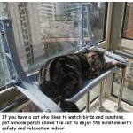 猫窗台厂家-无线固体图案吸盘