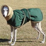 狗狗外套厂家-超暖加厚夹克大狗专用