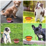 Pet Travel Bowl Supplier - BPA Free Food Grade Silicone Foldable