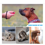 Training Clicker Supplier - Wrist Strap Lightweight Durable