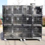 Veterinary Cage Factory - Twelve Compartments Hospital Quality